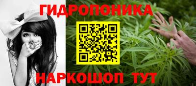 ECSTASY Тулун