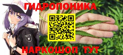 метадон Тула