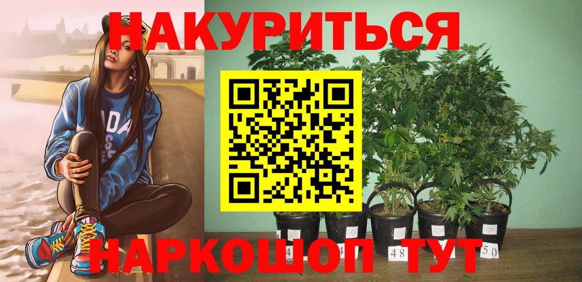 Шишки марихуана AK-47  Вход с VPN  Миллерово  Шишки марихуана индика  Бошки Шишки MAZAR  Бошки Шишки план 